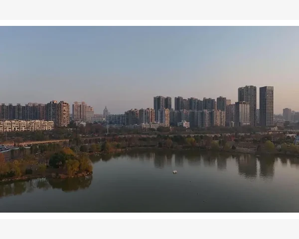 苗木种植企业会计分录实操要点详解