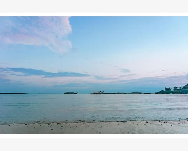 清肺菜与防雾霾，中医告诉你如何保护自己